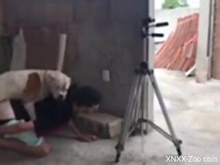 Horny guy getting fucked by an even hornier doggo