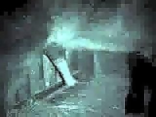 Animal Sex Porn XXX Movies